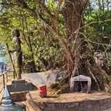 Chain Tree (karinthandan Temple) Wayanad 